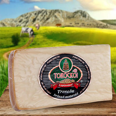 imagine preview comunicat torockoi seniorerp erp 2022