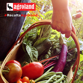 agroland-implementare-sisteme-software-erp-si-business-to-business-preview