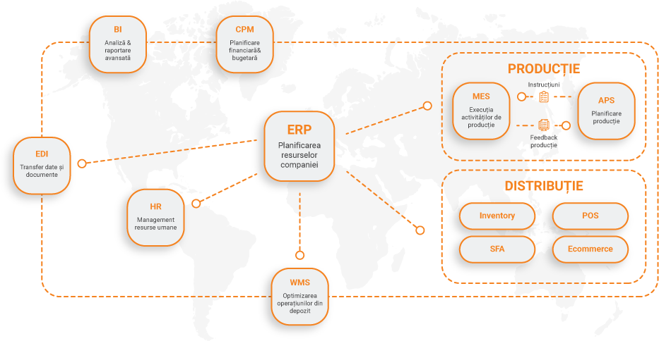 Procese Senior Software